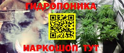 твердый Краснознаменск