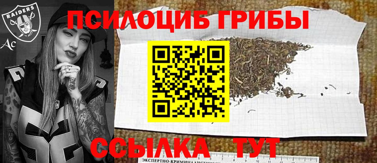 Псилоцибиновые грибы мицелий  Галлюциногенные грибы Cubensis  Вход с VPN  Когалым 